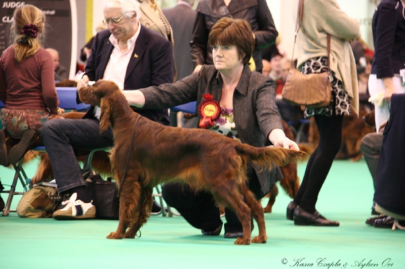 Crufts2011 881.jpg